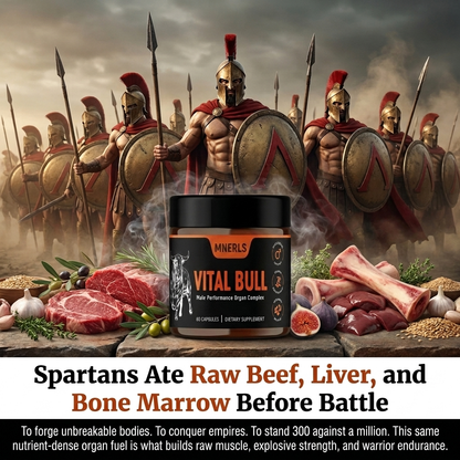 MNERLS || VITAL BULL BEEF ORGAN SUPPLEMENT FOR MEN